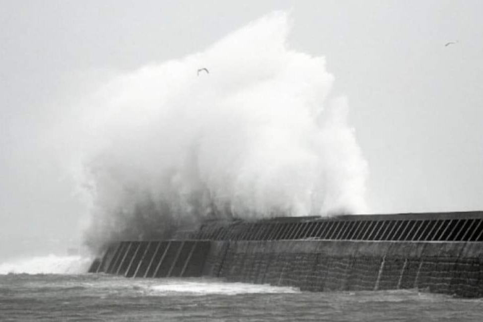 Gites De Teno Bras - L'Ocean Plouharnel Exteriör bild